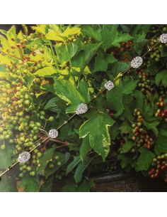 Bicolour Diamond Bracelet: Elegance and Audacity : PR Jewellers 2