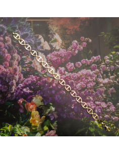 Pulsera Oro Amarillo Eslabones Huecos | Minimalismo Elegante 2